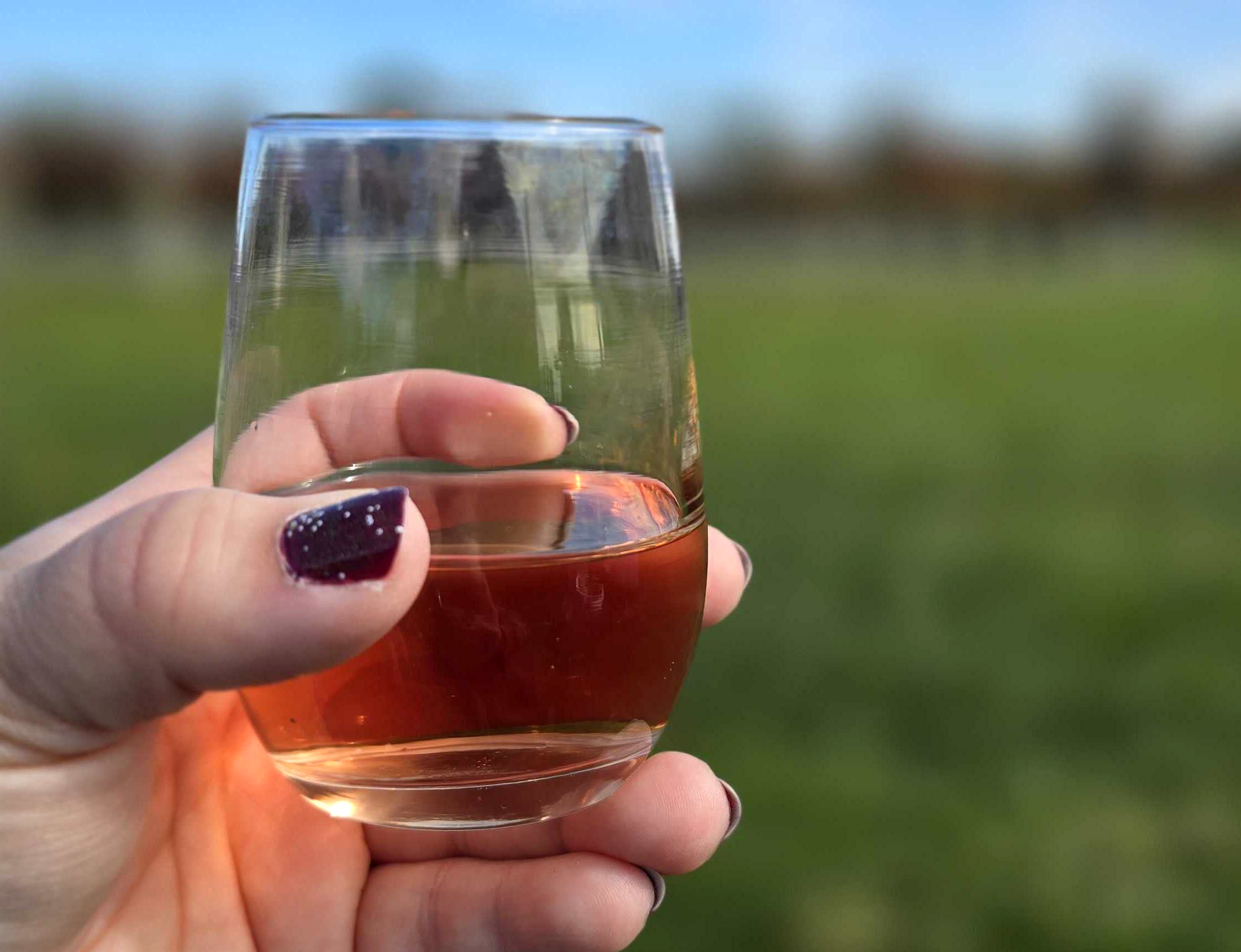 Hand holding a glass of pink wine.