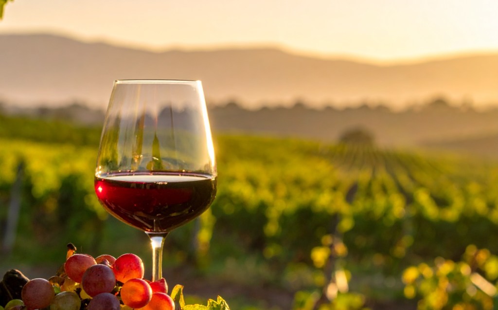 Freeze Damage Takes Toll on Eastern American&nbsp;Wine